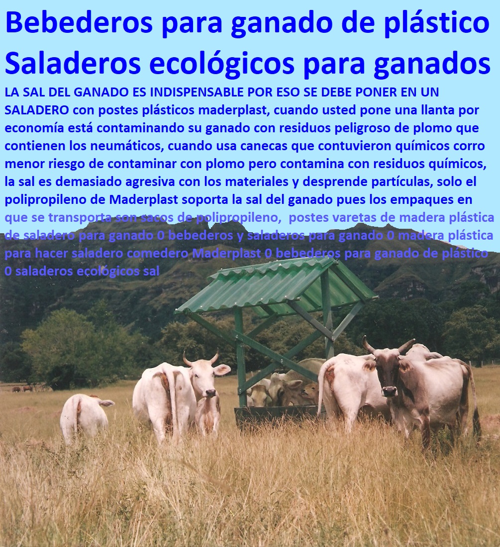 Instalaciones Equipos Ganado de Carne Maderplast Pastoreo Intensivo, Establos, Corrales, Saladeros, Comederos, Cerramientos, Postes, Ganaderías Tecnificadas, Ganaderías Tecnificadas, Explotación Ganadera Automatizada, Sistemas de Pastoreo, Estabulación de Ganado, Saladero móvil portátil Comedero 0 Bebederos Para Ganado Vacuno 0 Tienda Ganadera Maderplast 0 Comederos Rústicos Para Ganado 0 Cosechadora de Pastos Equipos Maderplast 0 Cosechador Instalaciones Equipos Ganado de Carne Maderplast Saladero móvil portátil Comedero 0 Bebederos Para Ganado Vacuno 0 Tienda Ganadera Maderplast 0 Comederos Rústicos Para Ganado 0 Cosechadora de Pastos Equipos Maderplast 0 Cosechador